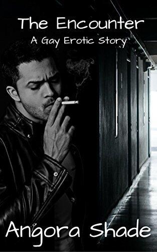 The Encounter: A Gay Erotic Story