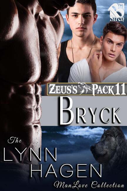 Bryck