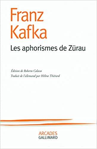 Les Aphorismes de Zürau