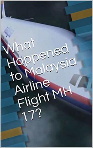What Happened to Malaysia Airline Flight MH 17?