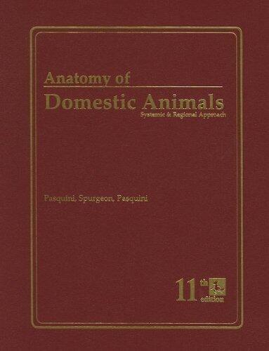 Anatomy of Domestic Animals: Systemic & Regional Approach
