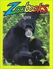 Apes