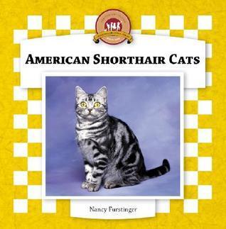 All about Cats