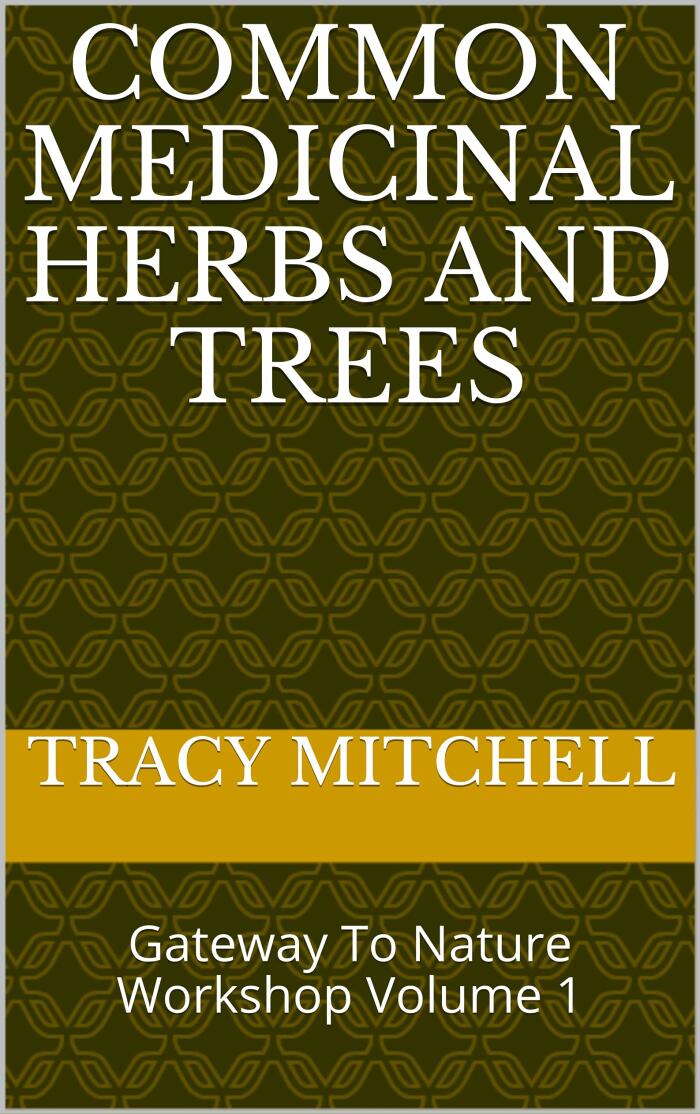 Common Medicinal Herbs and Trees: Gateway To Nature Workshop Volume 1