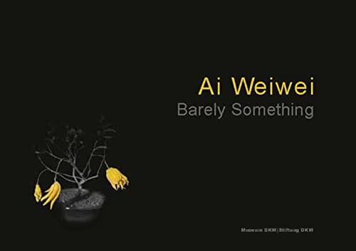 Ai Weiwei: Barely Something