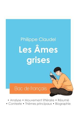 Réussir son Bac de français 2024: Analyse des Âmes grises de Philippe Claudel