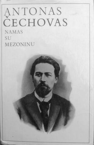 Namas su mezoninu