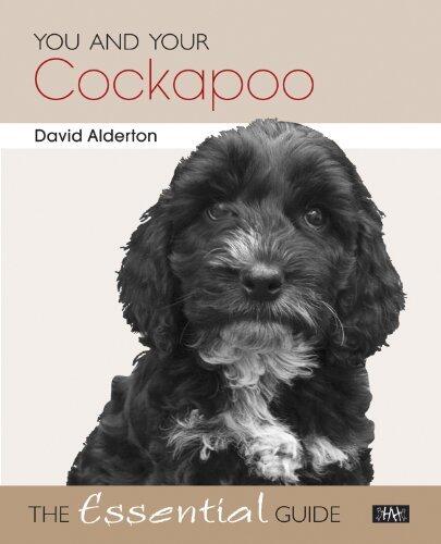You and Your Cockapoo - The Essential Guide