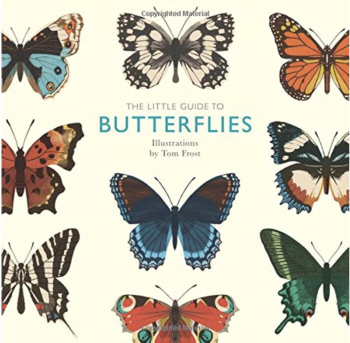 The Little Guide to Butterflies