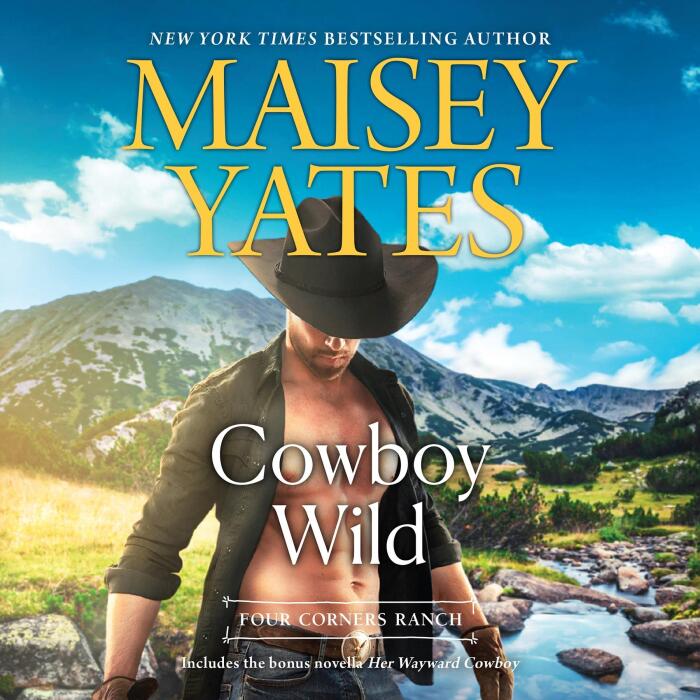 Cowboy Wild: Four Corners Ranch, Book 3