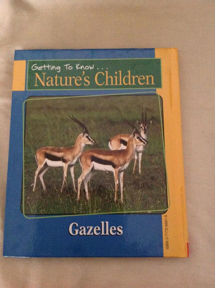 Orangutans / Gazelles