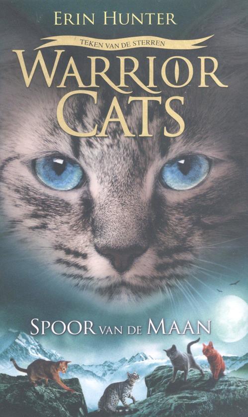Spoor van de maan