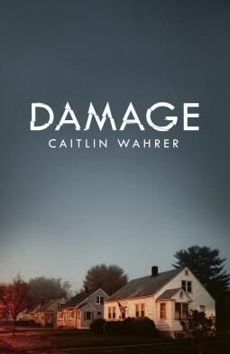 The Damage