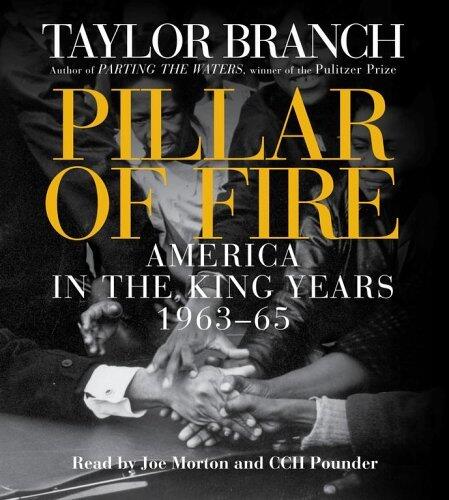 Pillar of Fire: America in the King Years, Part 2: 1963-64