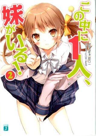 この中に1人、妹がいる！ 2 (MF文庫J)