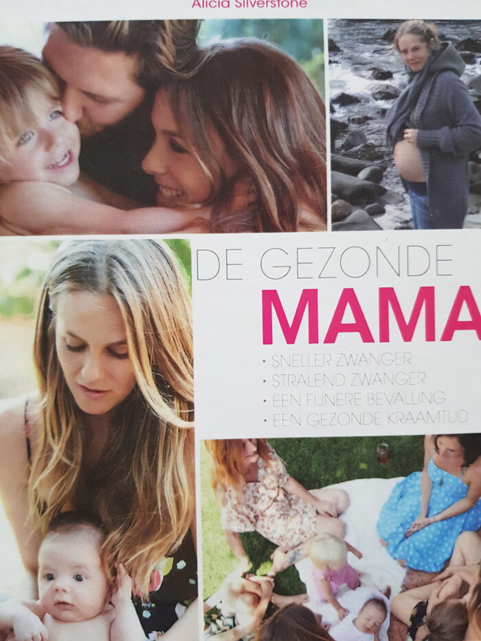 De gezonde mama: sneller zwanger, stralend zwanger, een fijnere bevalling, een gezonde kraamtijd
