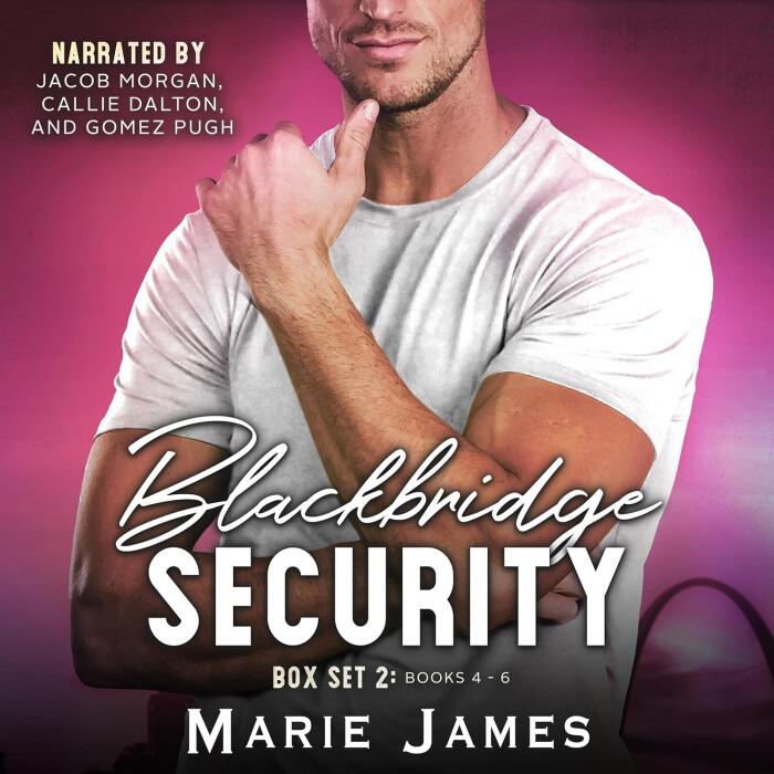 Blackbridge Security Box Set 2