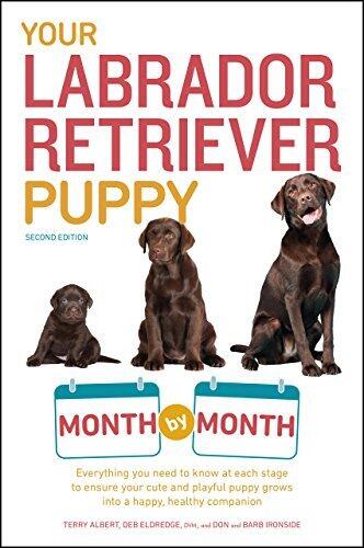 Your Labrador Retriever Puppy Month by Month: Everything You Need to Know at Each Stage to Ensure Your Cute and Playful Puppy Grows into a Happy, Healthy Companion