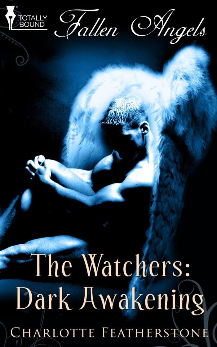 The Watchers