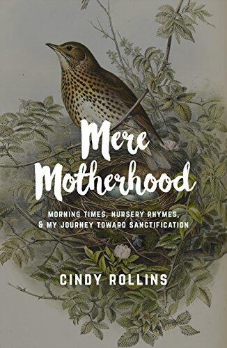Mere Motherhood: Morning Times, Nursery Rhymes, and My Journey Toward Sanctification