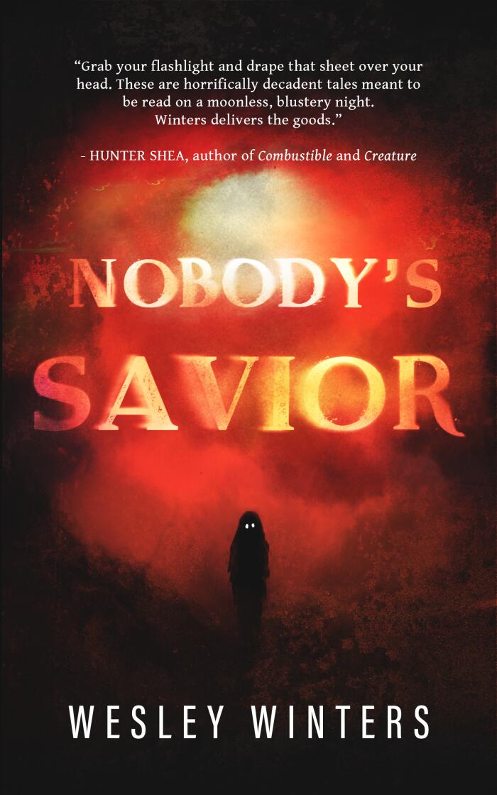 Nobody's Savior