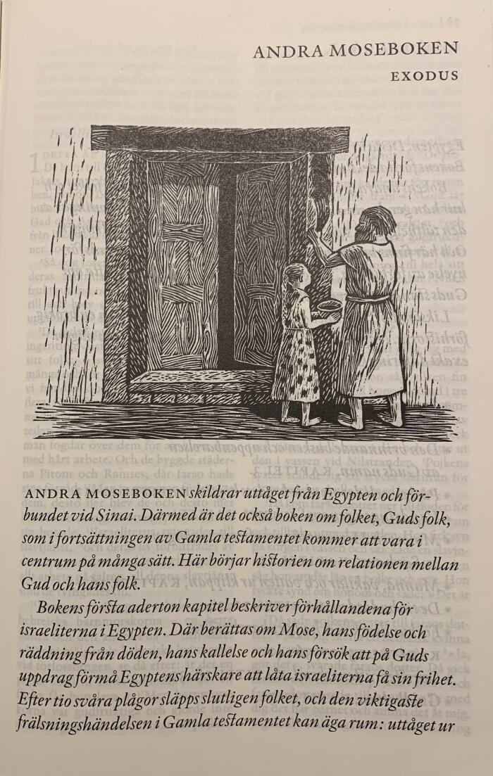 Andra Moseboken, Exodus