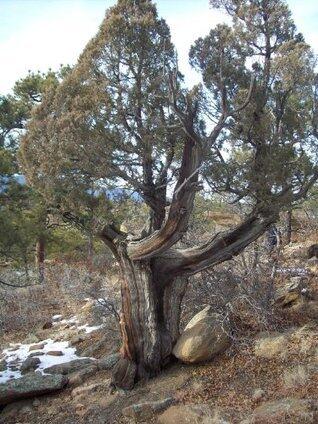 39 Years in the Wilderness; an Atheist Walk With God