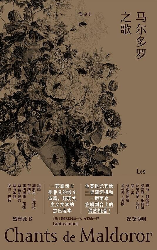 马尔多罗之歌