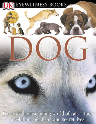 DK Eyewitness Books: Dog