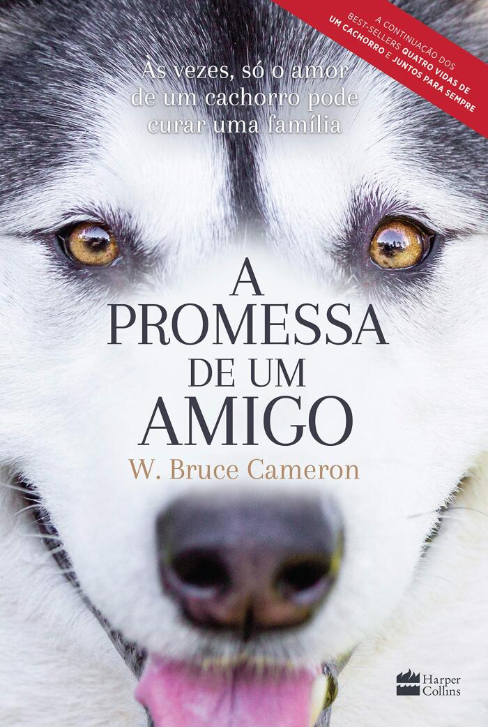 A Promessa de Um Amigo