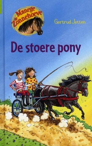 De stoere pony
