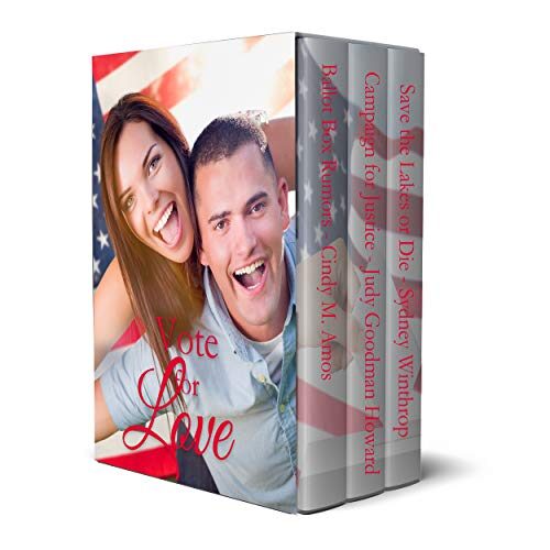 Vote for Love: Romance around the ballot box. Clean, sweet, contemporary romances