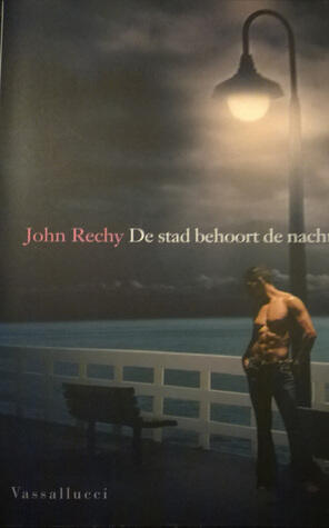 De stad behoort de nacht