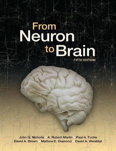 From Neuron to Brain (Neurons in Action Version 2)