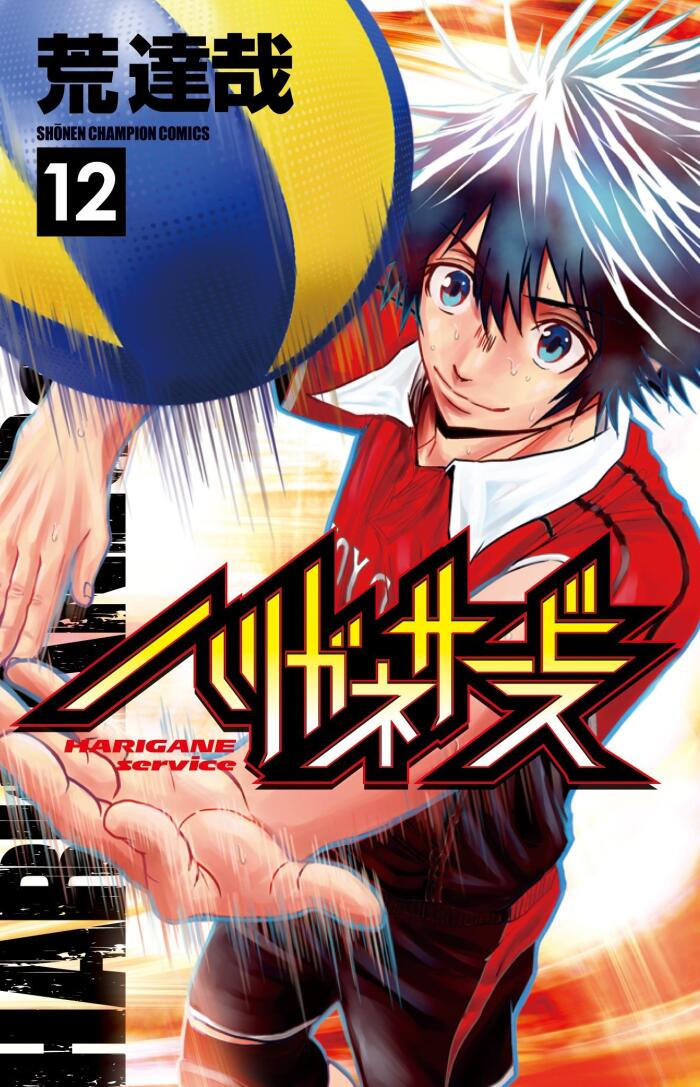 ハリガネサービス 12 [Harigane Service 12]