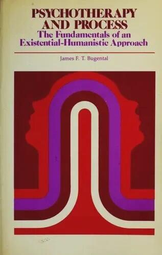 Psychotherapy and Process: The Fundamentals of an Existential-Humanistic Approach