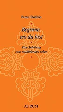 Beginne, wo du bist: Eine Anleitung zum mitfühlenden Leben