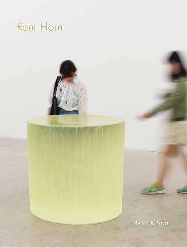 Roni Horn: The Sensation of Sadness at Having Slept Through a Shower of Meteors