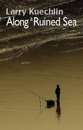 Along a Ruined Sea
