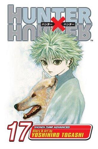 Hunter x Hunter, Vol. 17: A Fierce Three-Way Struggle