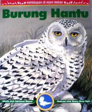 Burung Hantu