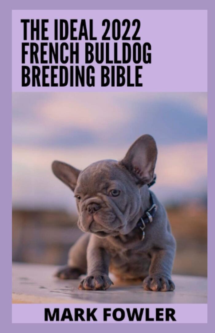 The Ideal 2022 French Bulldog Breeding Bible: Everything You Need To Know