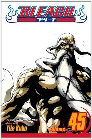 Bleach, Vol. 45: The Burnout Inferno