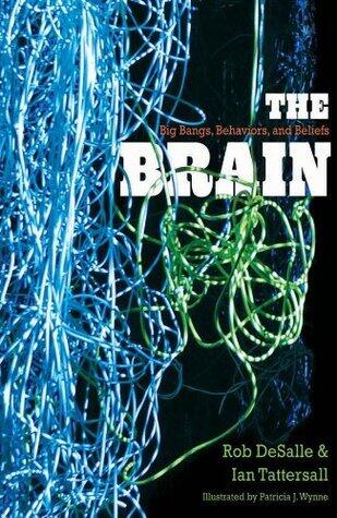 The Brain