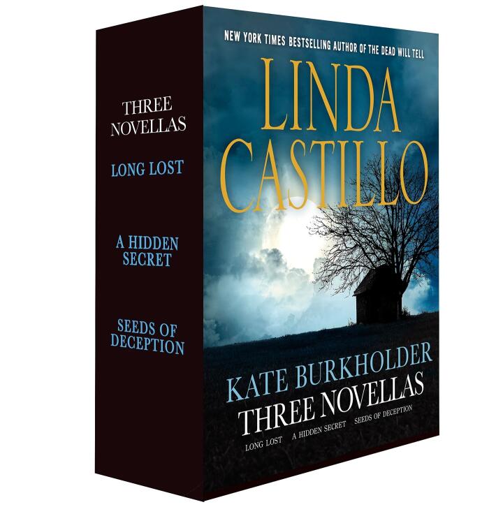 Kate Burkholder Novellas: Long Lost /  A Hidden Secret / Seeds of Deception