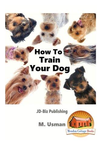 How To Train Your Dog