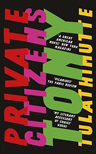 Private Citizens: The First Great Millennial Novel