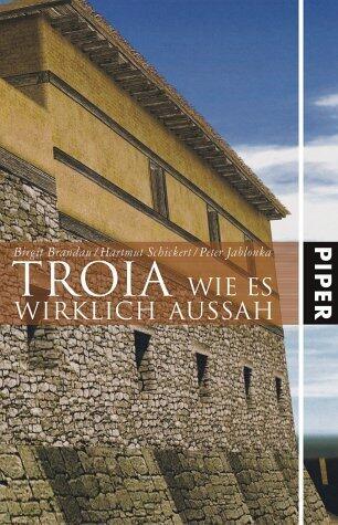 Troia         Wie es wirklich aussah