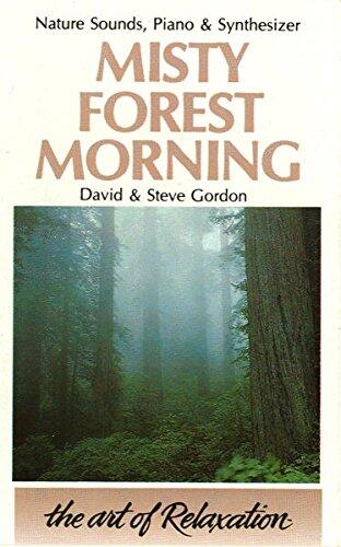 Misty Forest Morning