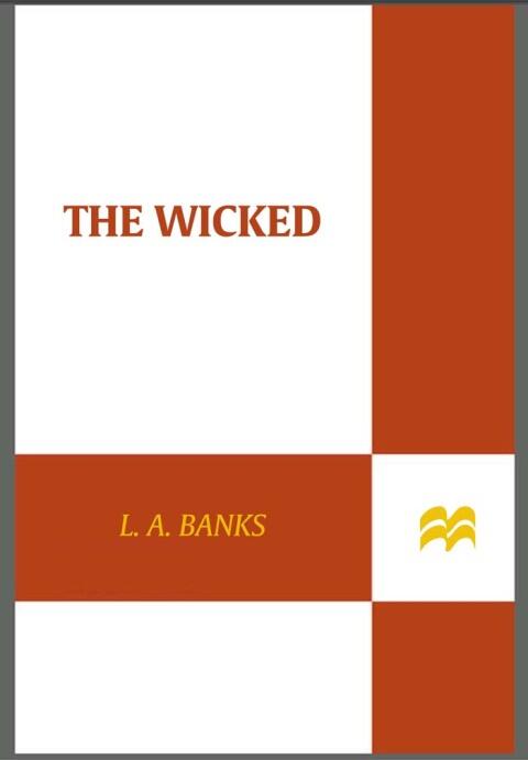 The Wicked: A Vampire Huntress Legend